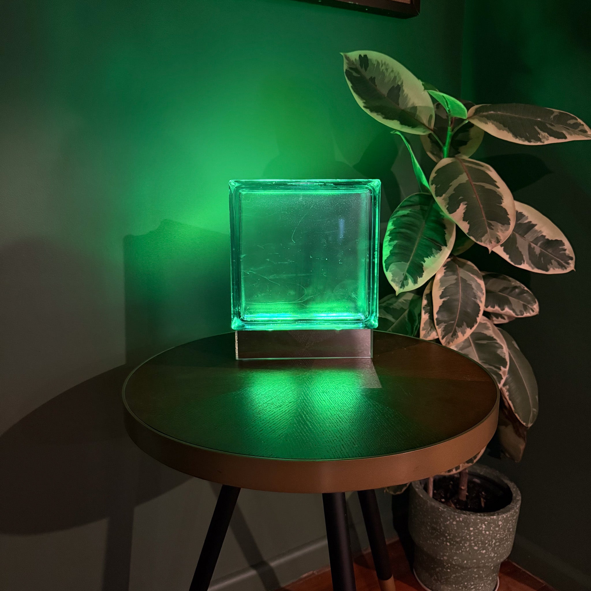 Wired Blue Bloc Lamp