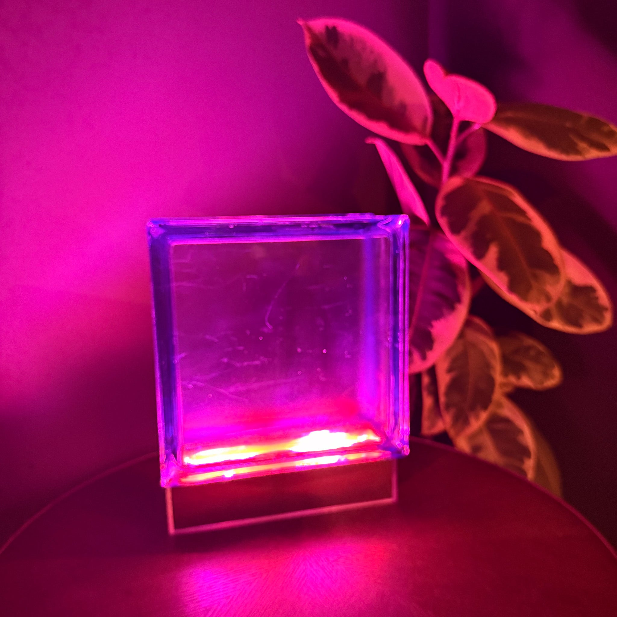 Wired Blue Bloc Lamp