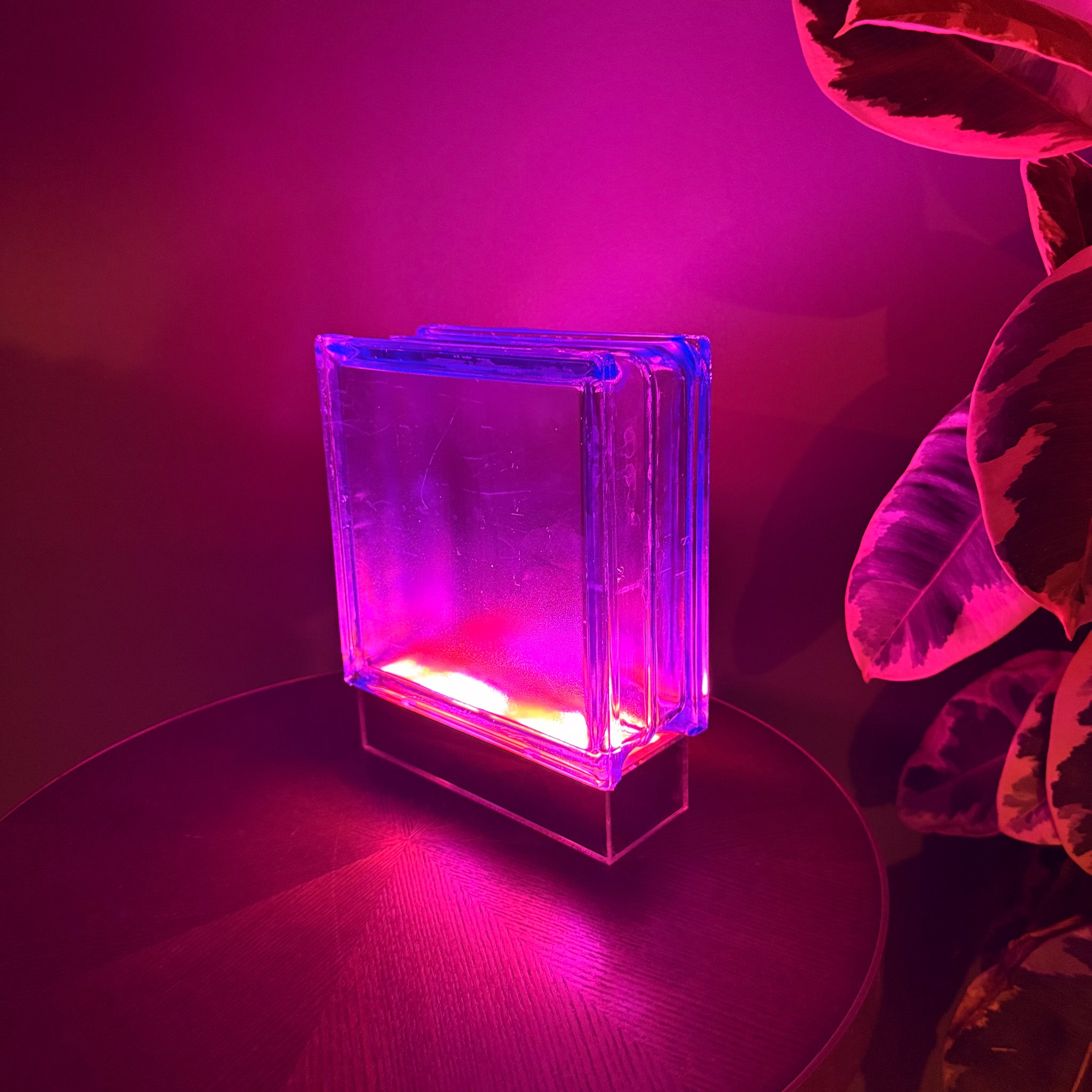 Wired Blue Bloc Lamp