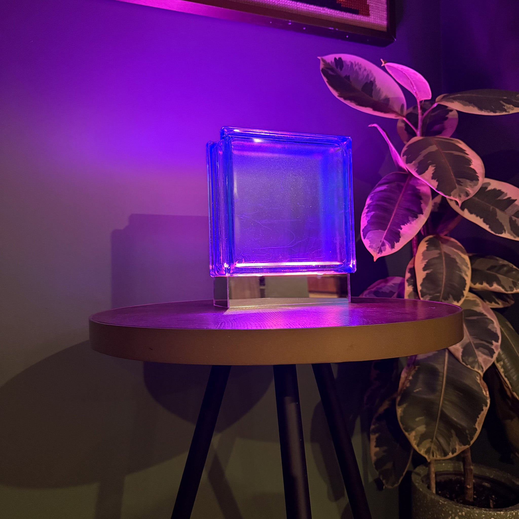 Wired Blue Bloc Lamp