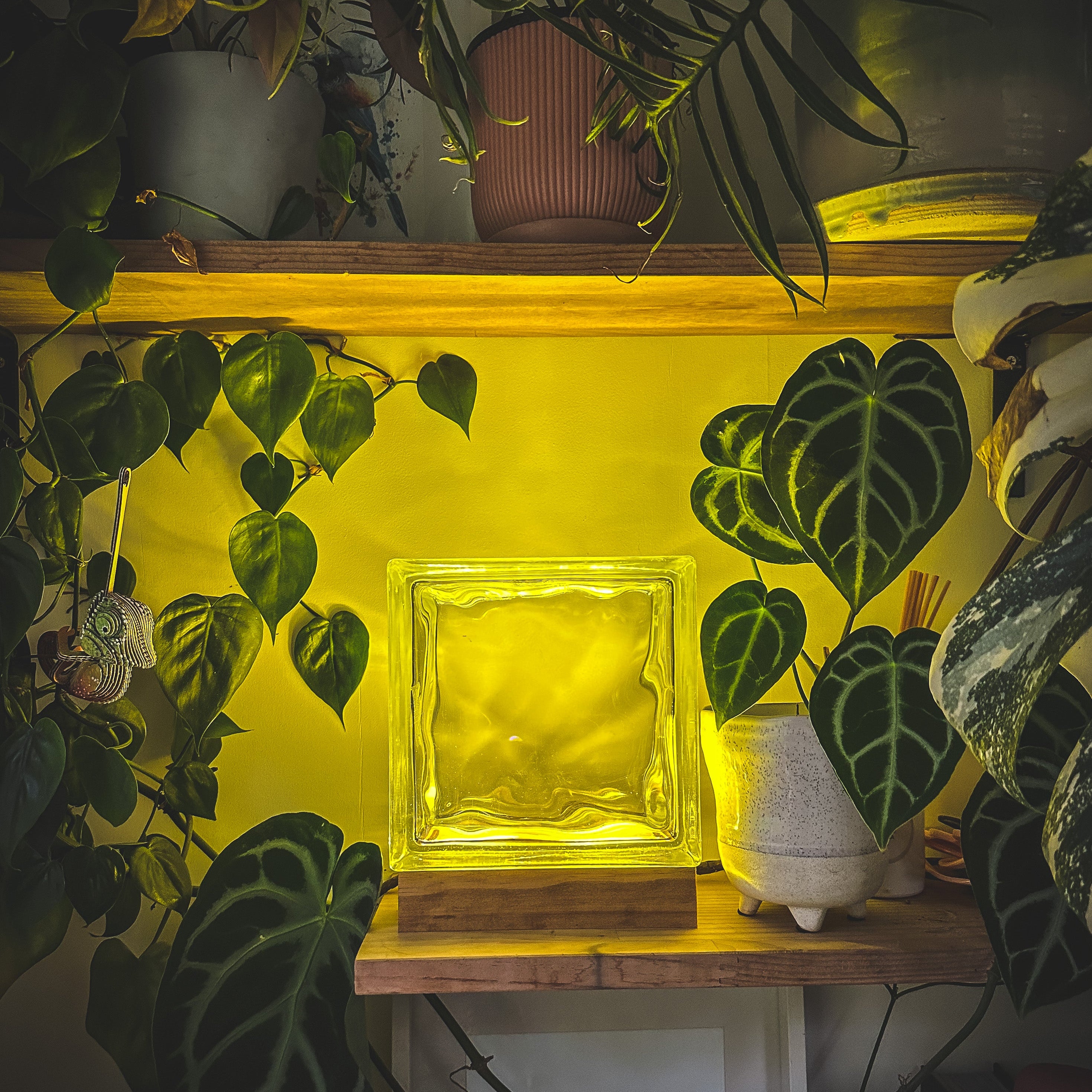 Square glass block on a wooden shelf with plants around, emitting a warm glow.